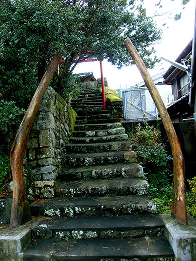 Whalebone Tori Japan